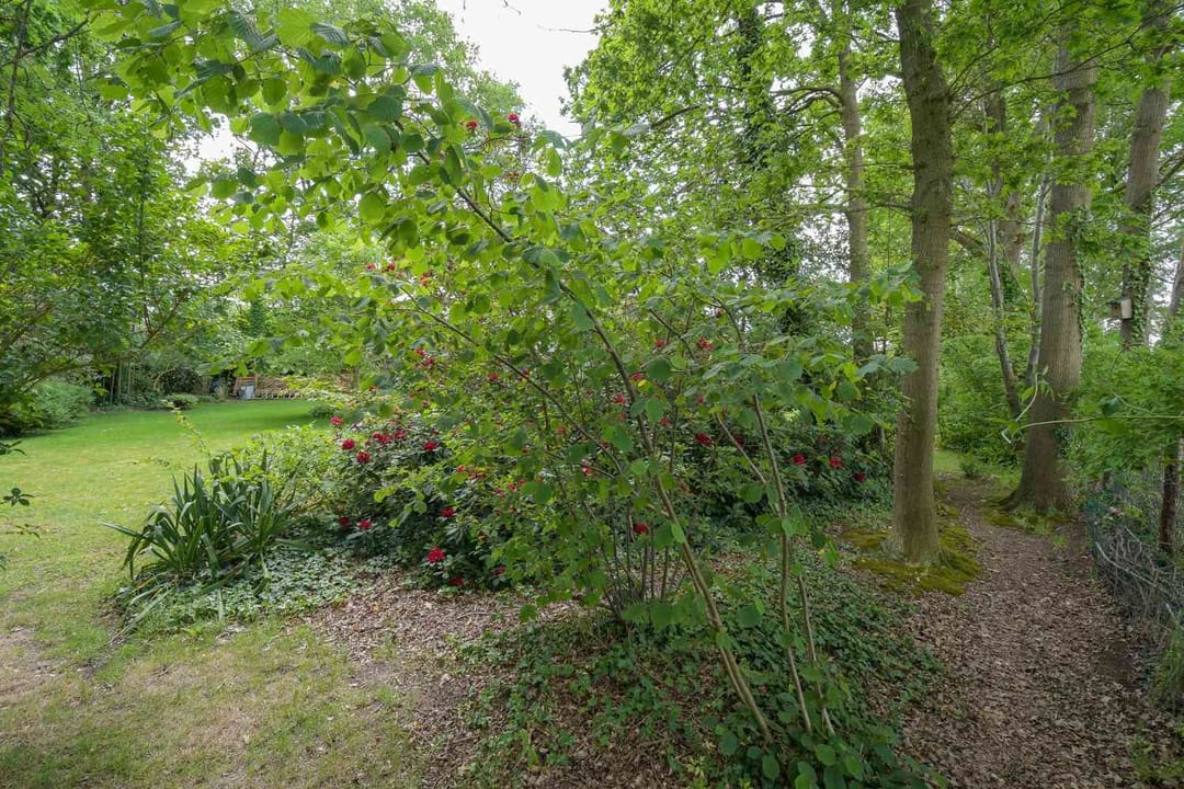 Foto 46 van Klokhuisdijk 7