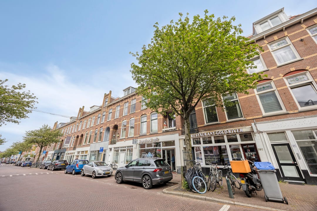 Foto 17 van Weimarstraat 291-D