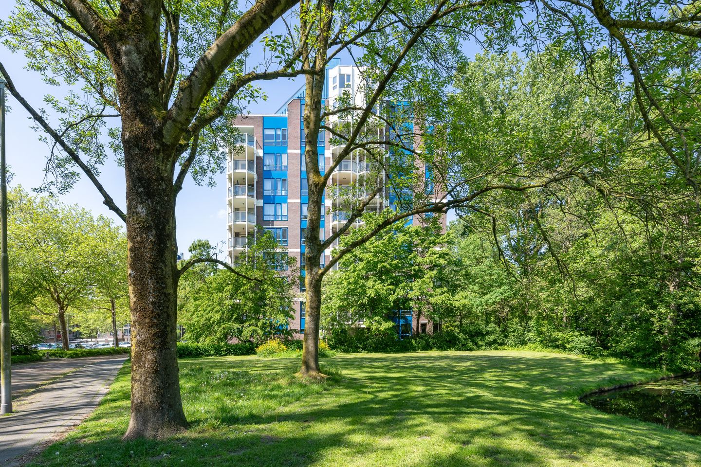 Photo 5 of Logger 166