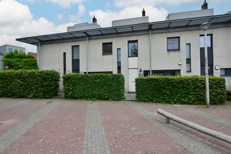 Zilvermeeuw thumbnail