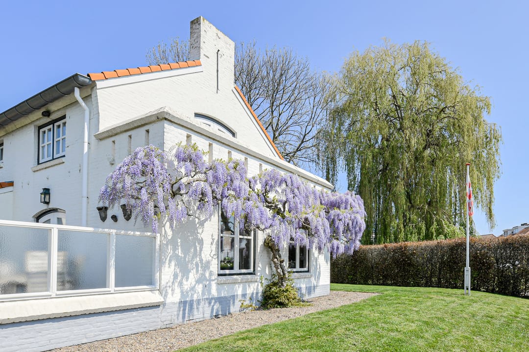 Photo 56 of Commandeurstraat 2