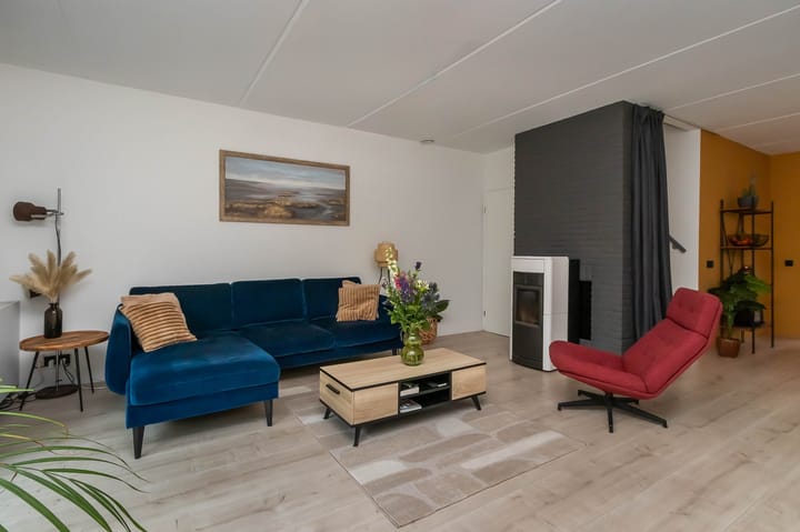 Photo 4 of Goudwespmeent 55