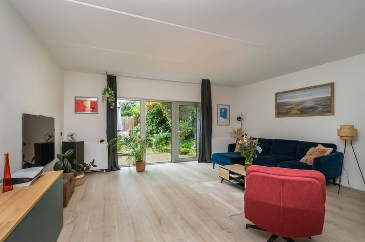 Photo 3 of Goudwespmeent 55