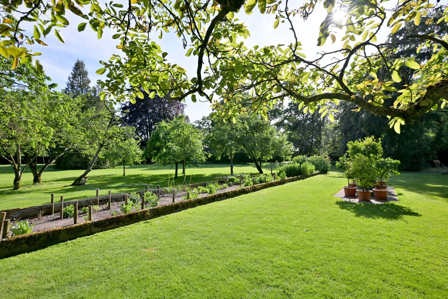 Photo 59 of Deventerweg 10