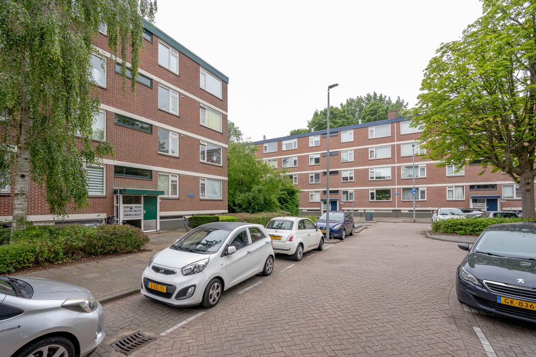 Photo 26 of Ruigoord 204