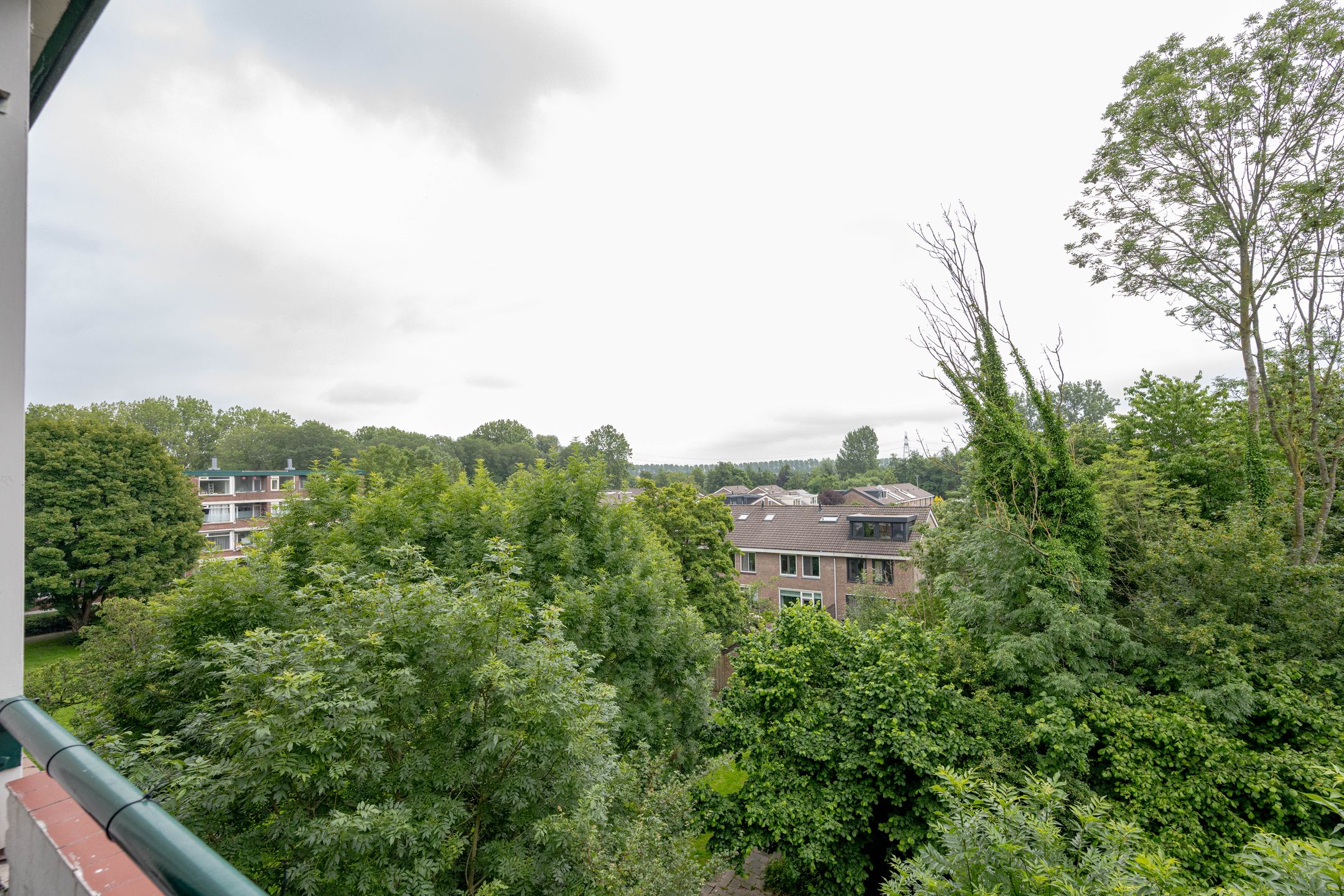 Photo 24 of Ruigoord 204
