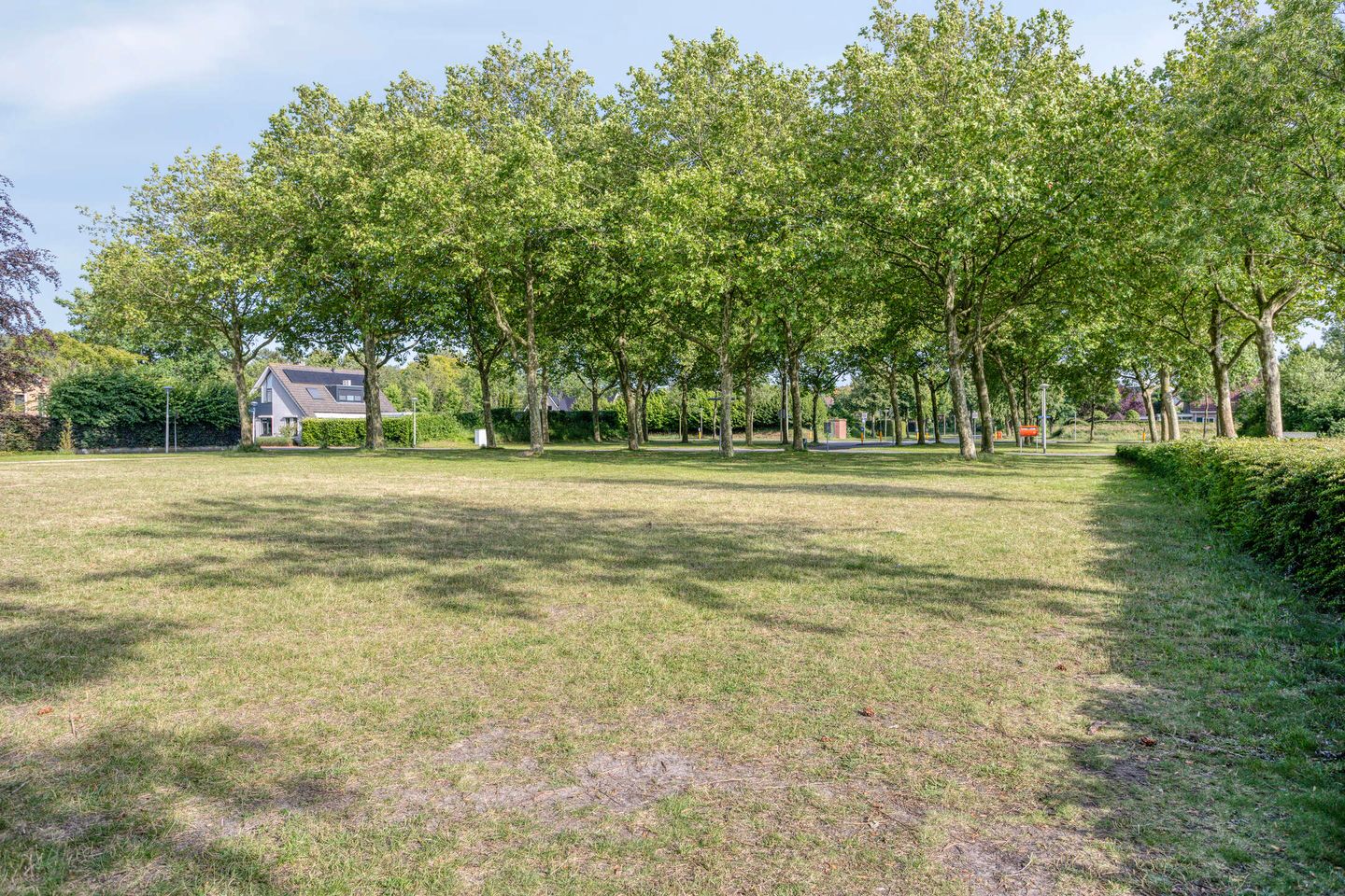 Photo 80 of Oosterland 12