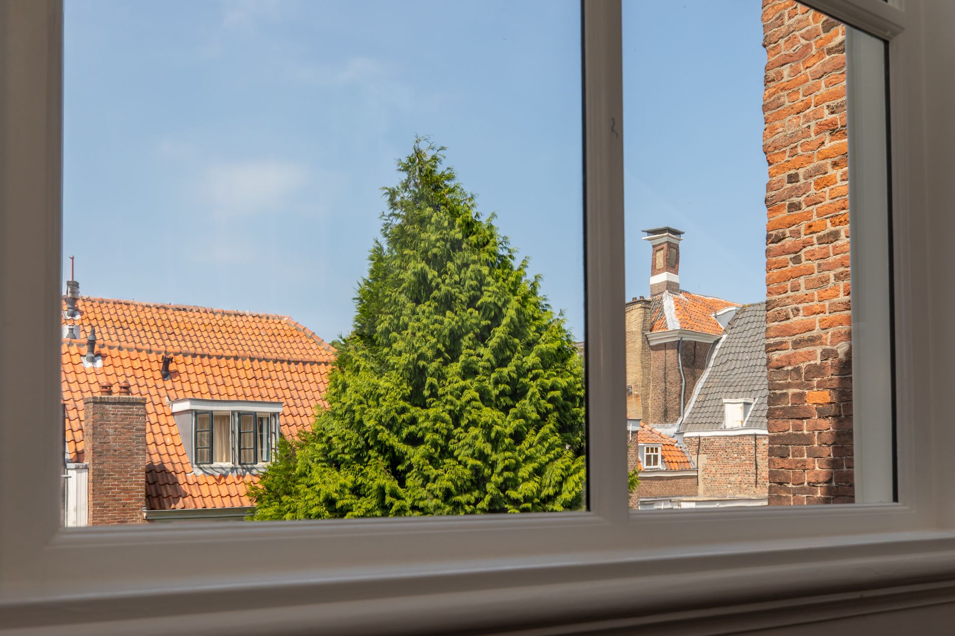 Photo 36 of Singelstraat 9