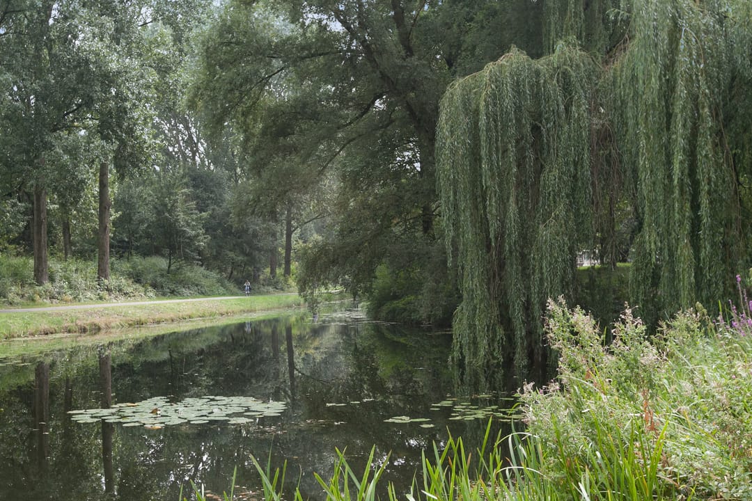 Foto 17 van Groningensingel 201