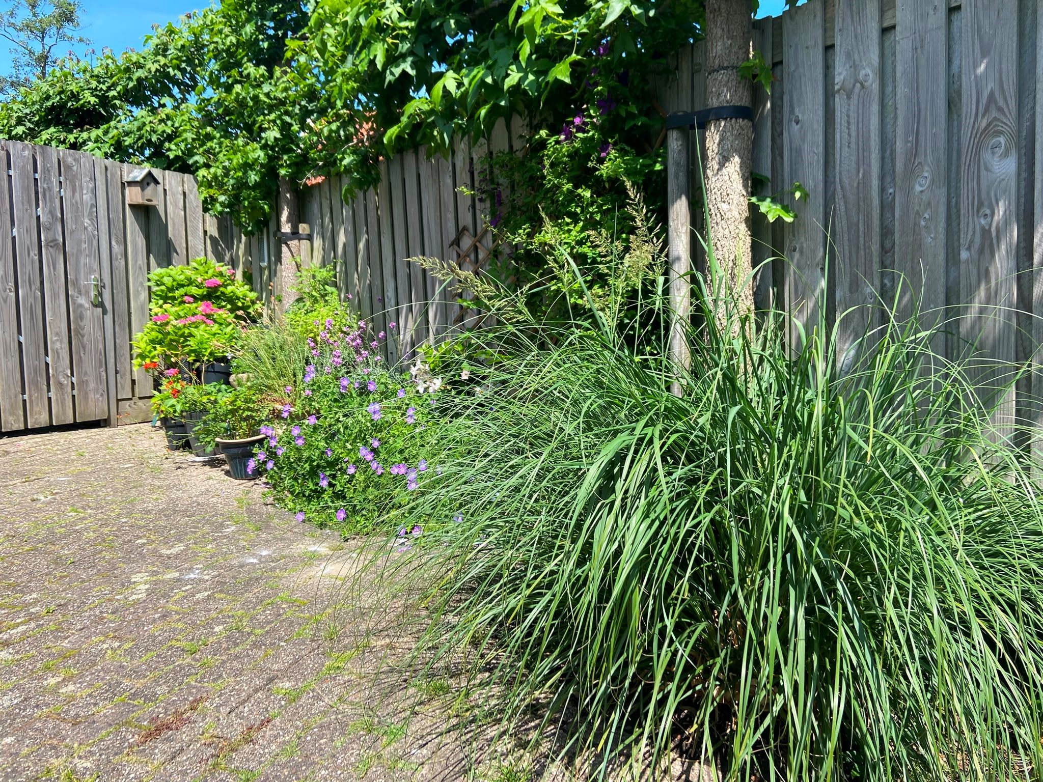 Photo 39 of Noordeinde 77-A