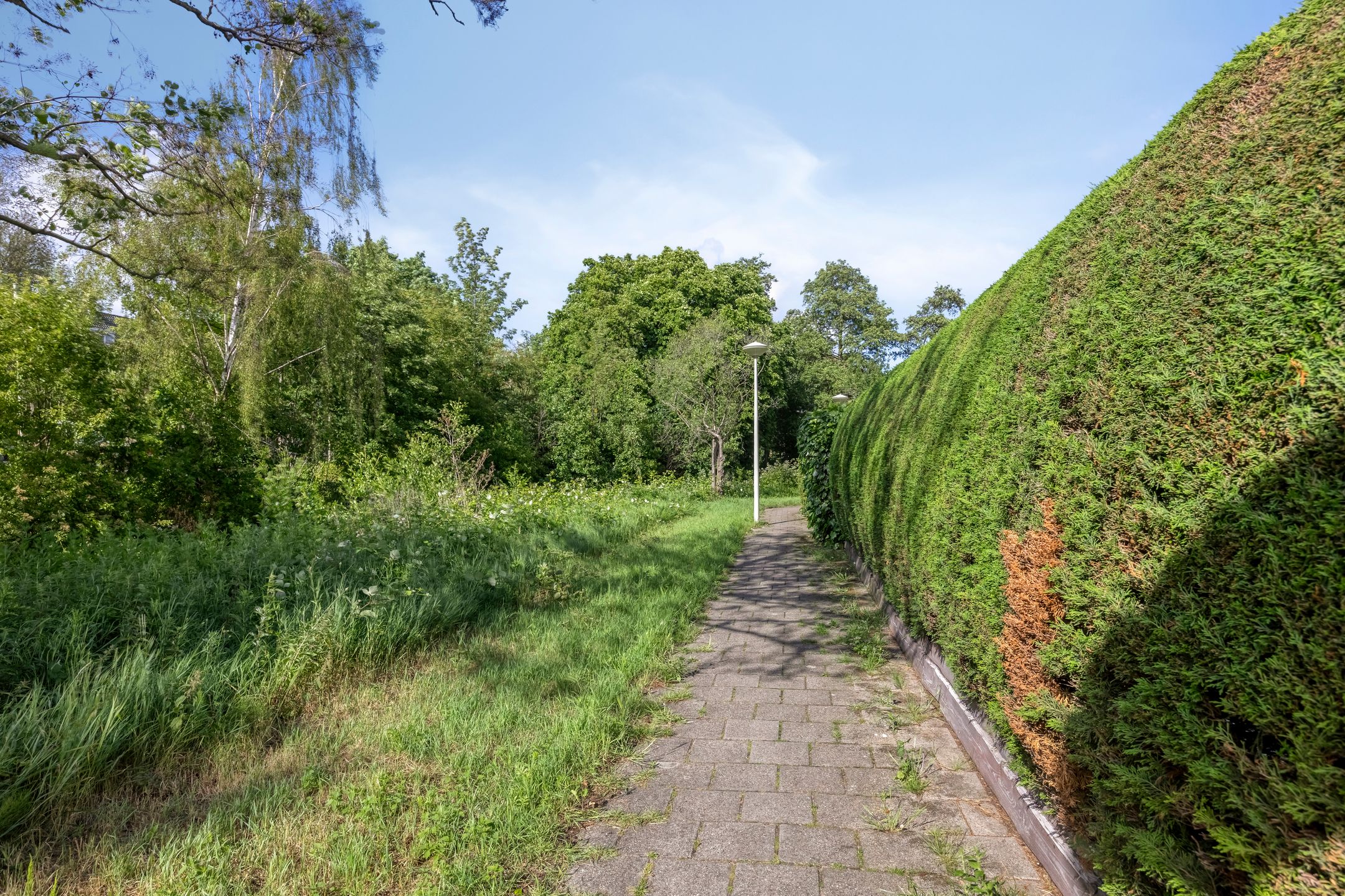 Photo 36 of Architect Krophollerkade 37