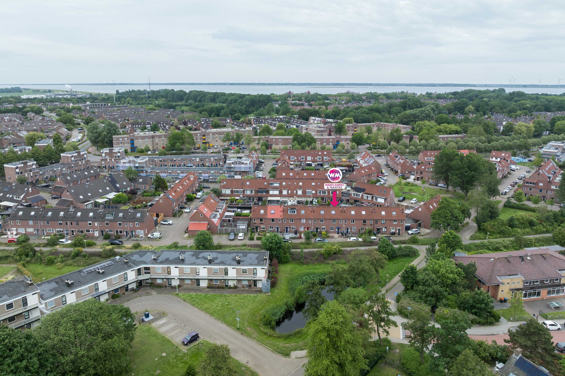 Foto 3 van Schorpioen 9
