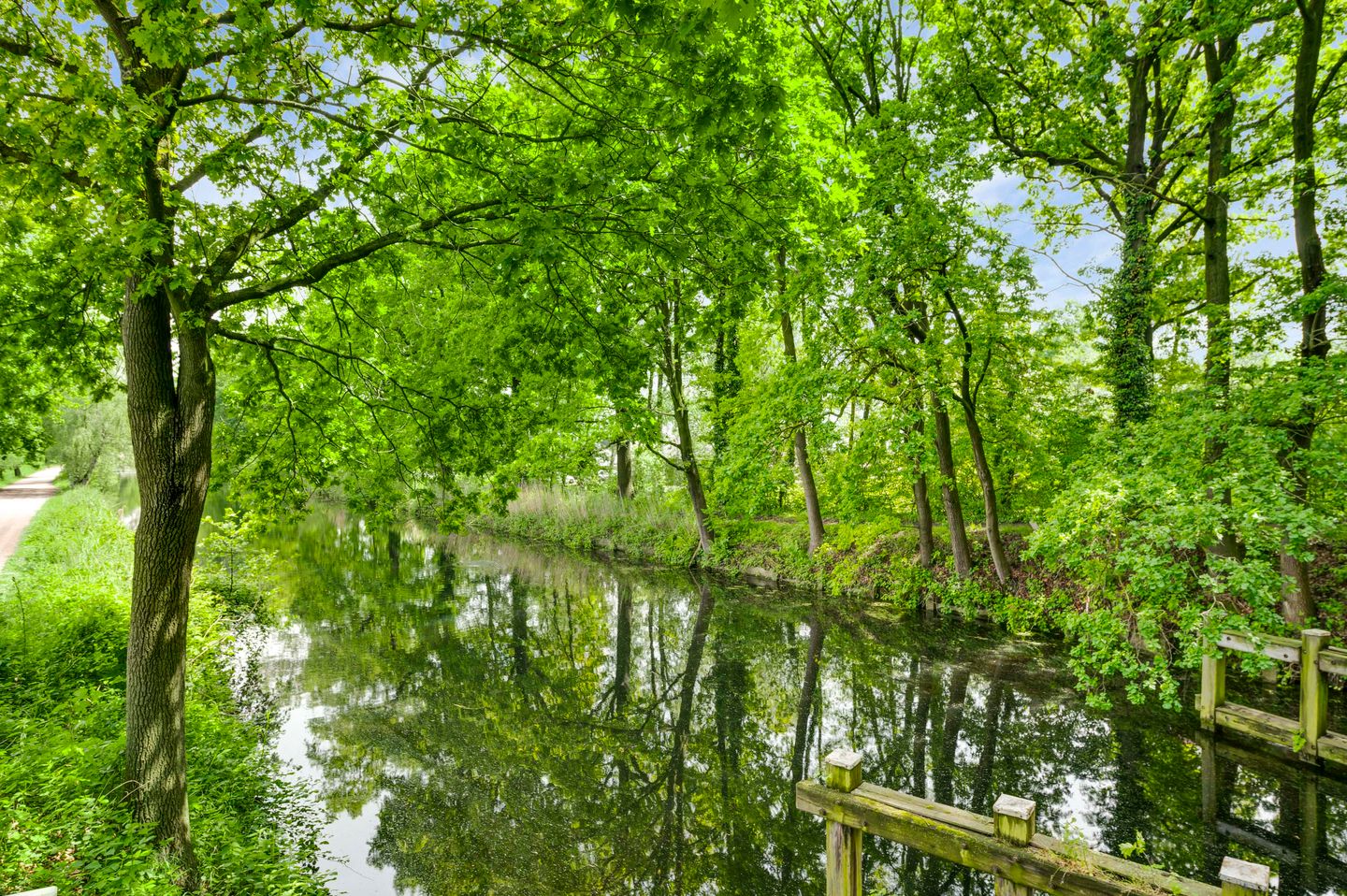 Photo 14 of Ganzewinkel 1
