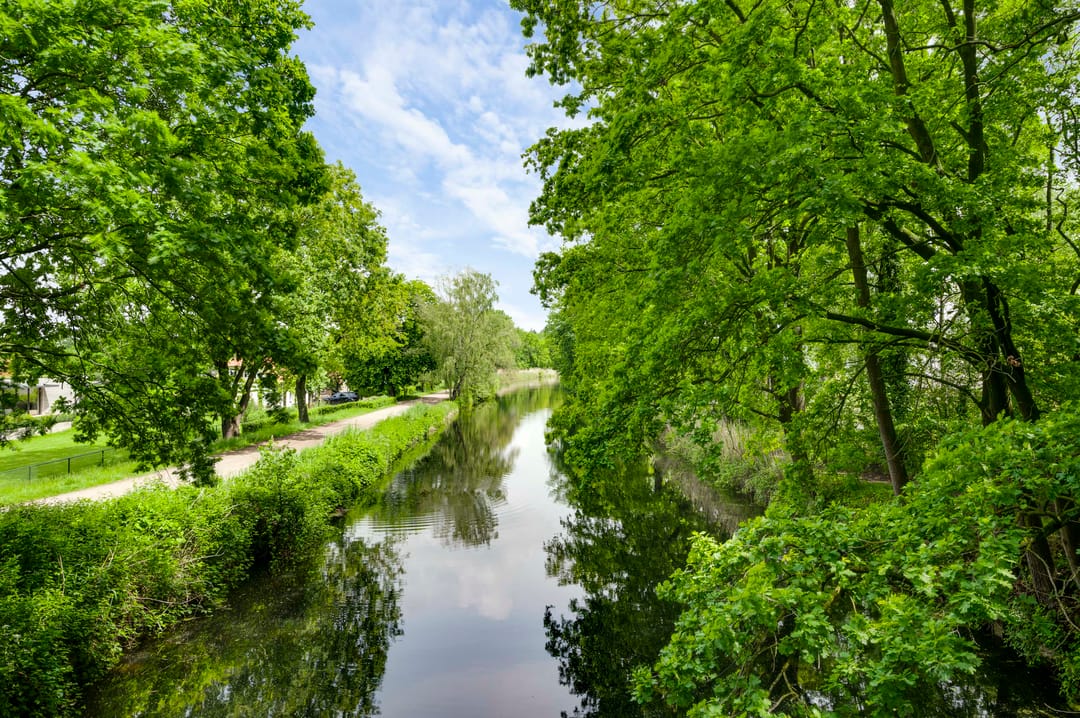 Photo 13 of Ganzewinkel 1