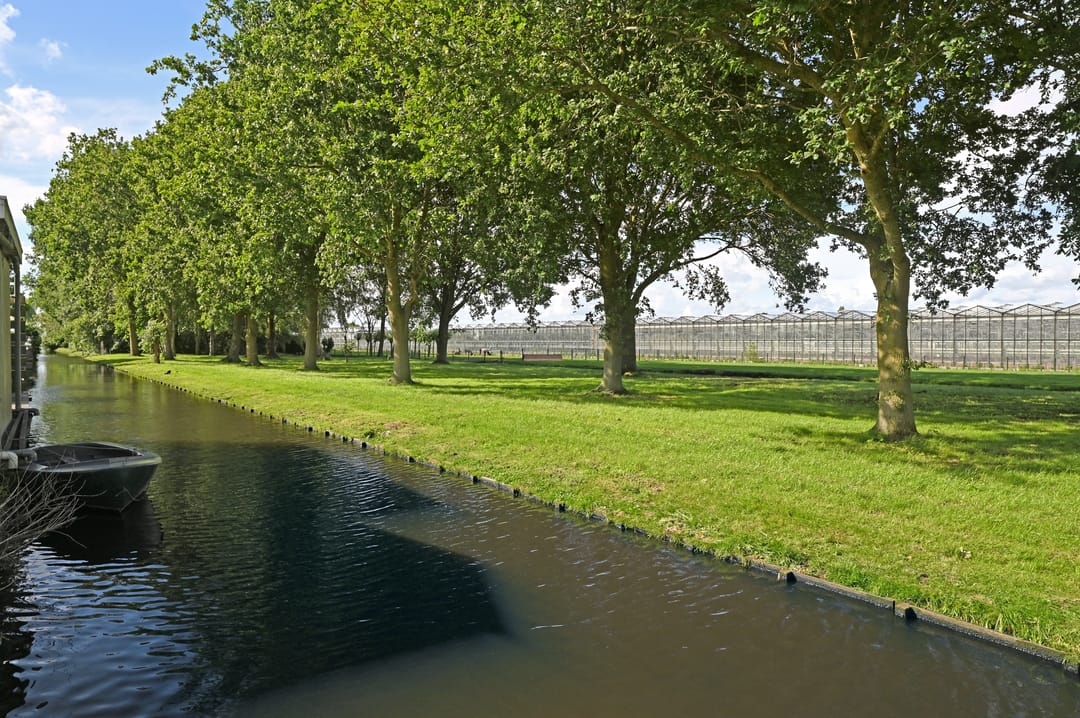 Photo 26 of Bosveen 23