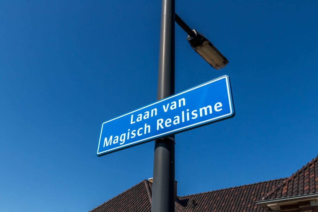Photo 2 of Laan van Magisch Realisme 35