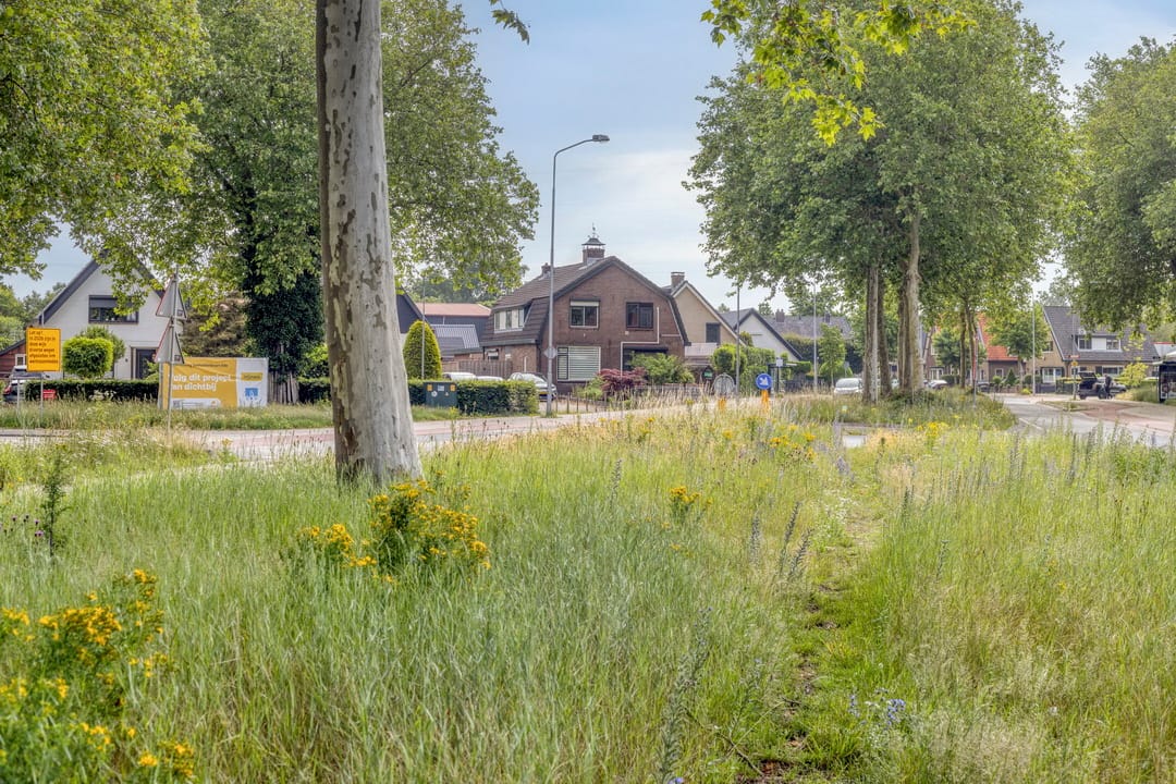Photo 47 of Hoenderweg 11