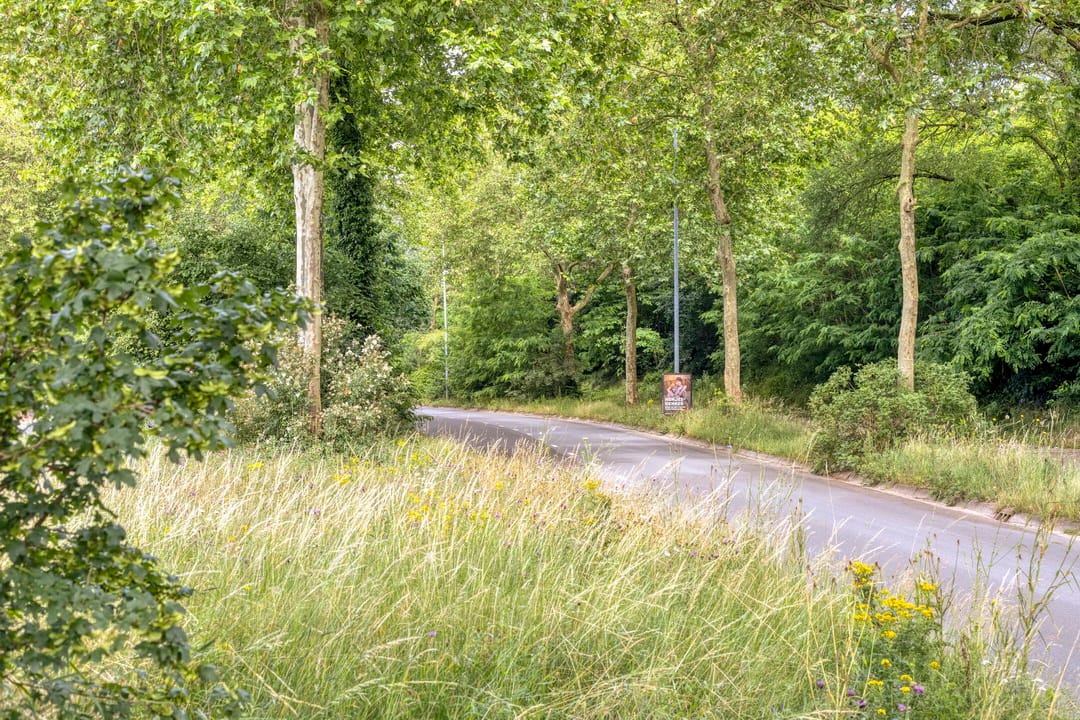 Photo 48 of Hoenderweg 11