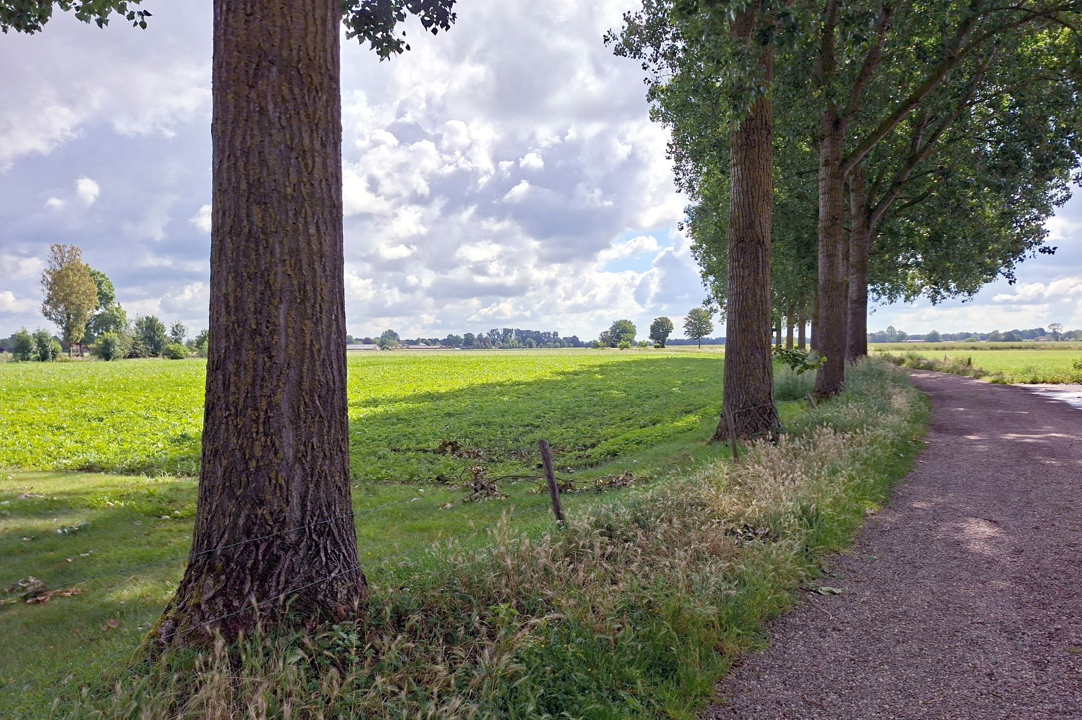 Photo 9 of Burg. Van Houtstraat 86