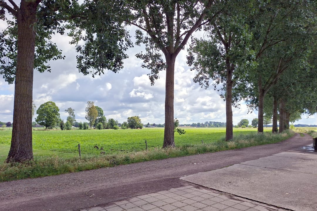 Photo 8 of Burg. Van Houtstraat 86