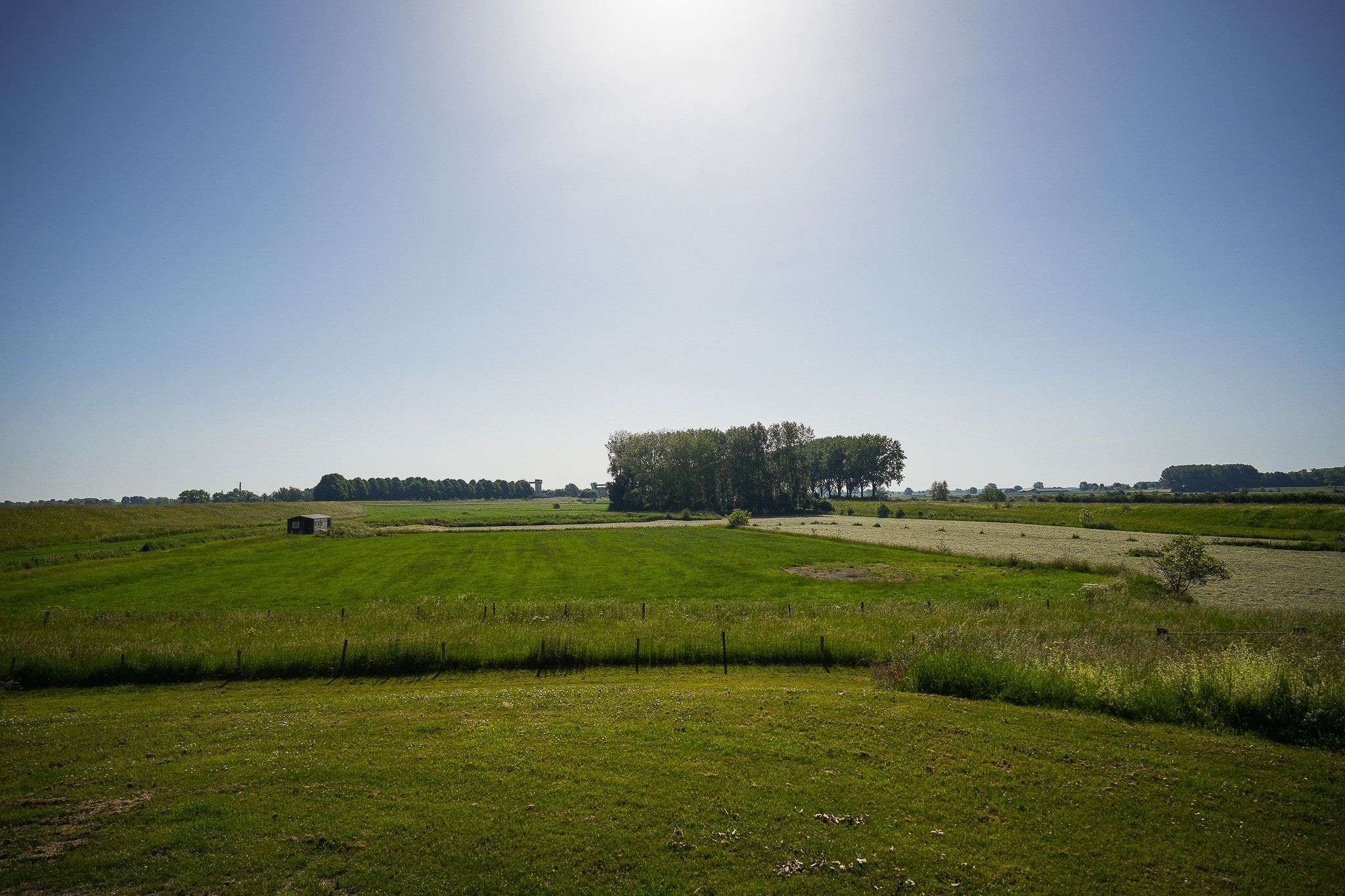Photo 96 of Maasdijk 12