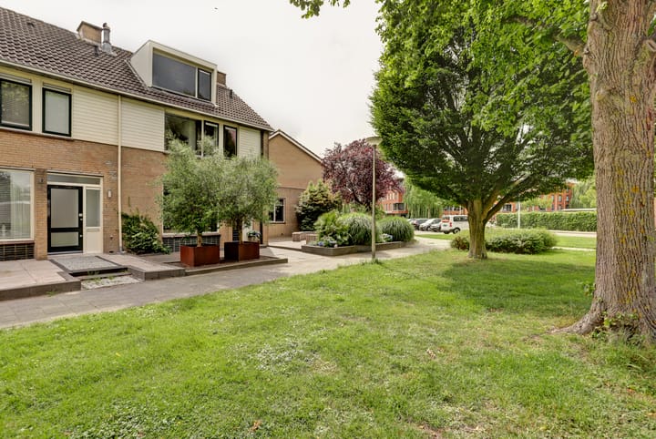 Photo 2 of Goudplevier 1