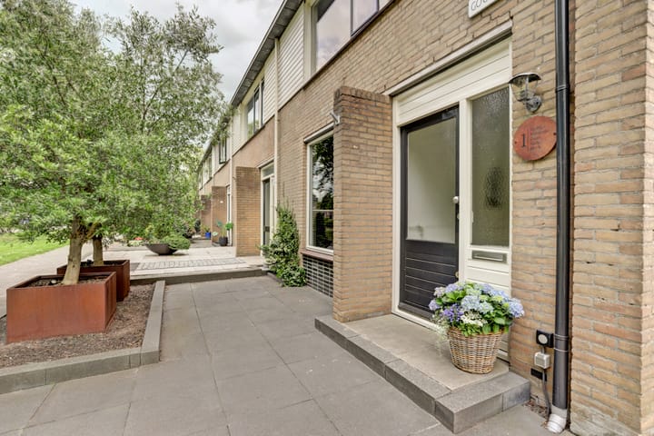 Photo 4 of Goudplevier 1