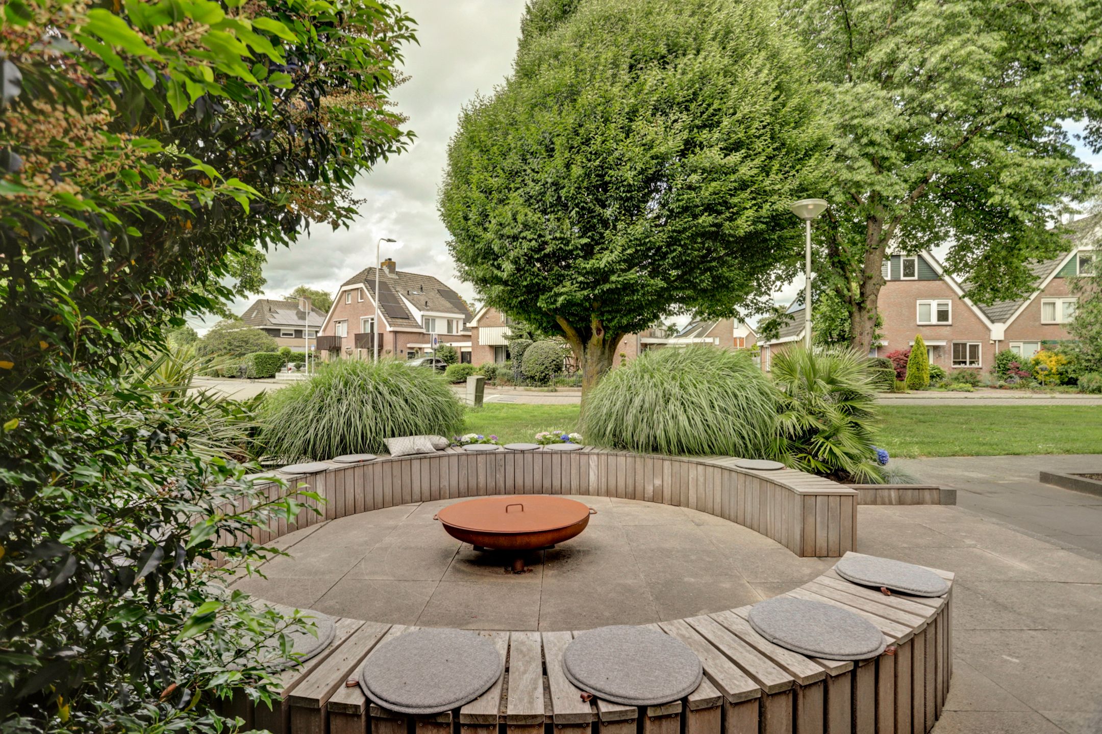 Foto 48 van Goudplevier 1