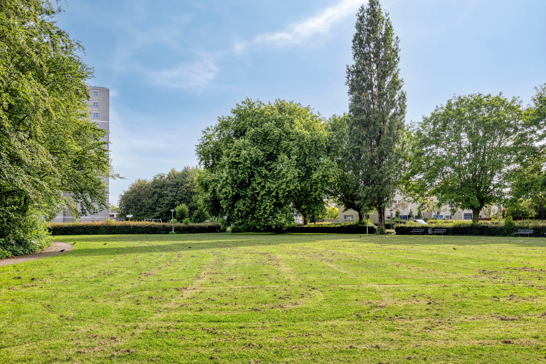 Photo 37 of Groen-blauwlaan 176