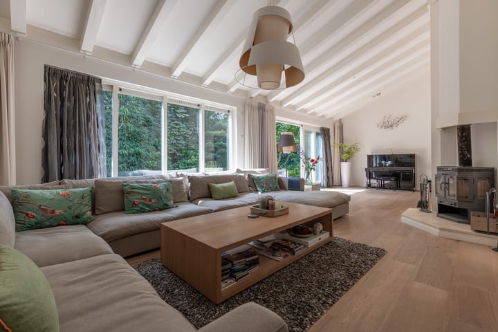Vrijstaande woning te koop: Van Driellaan 10, Huizen