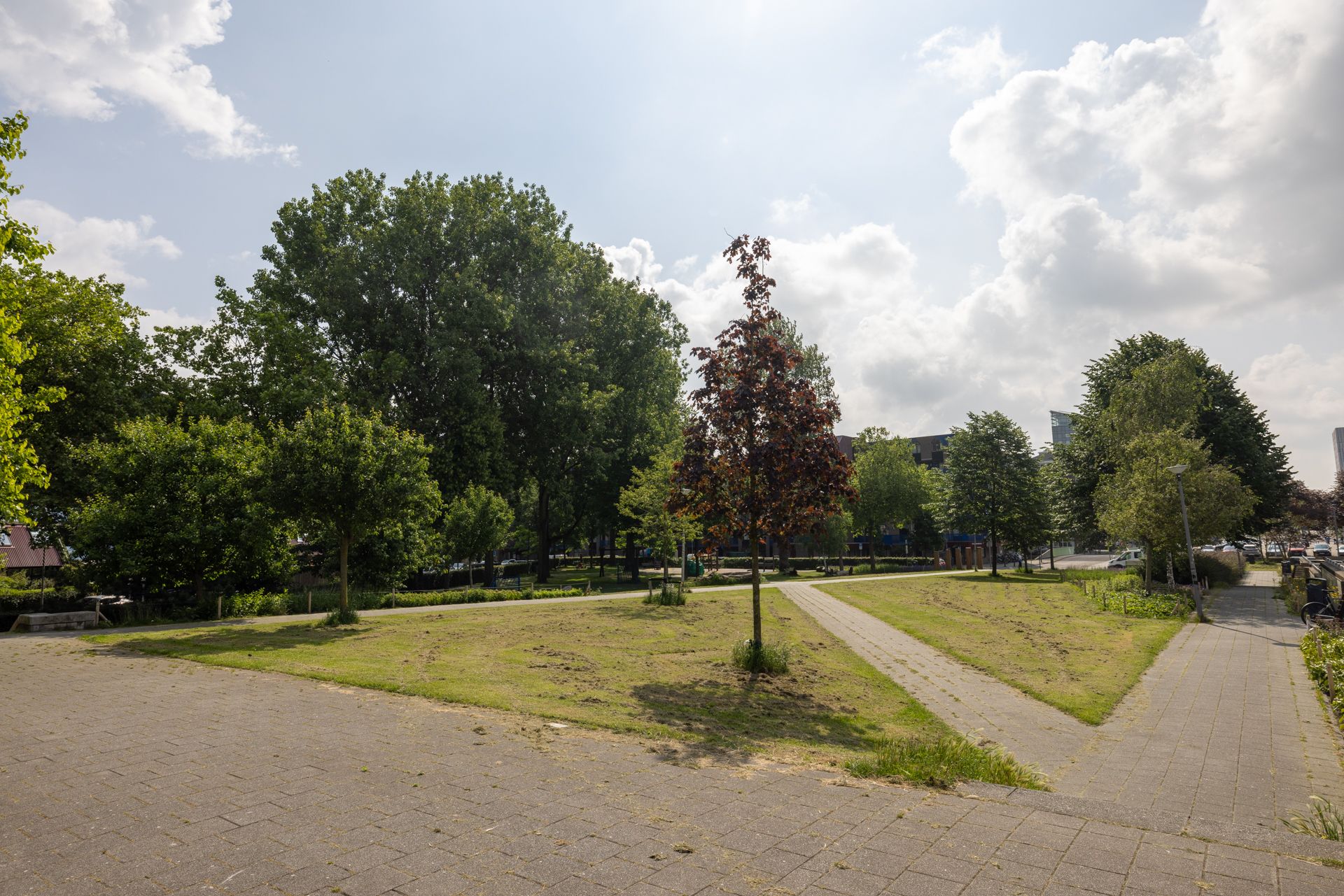 Sint-Jacobstraat 227 Rotterdam - Aanzicht 5