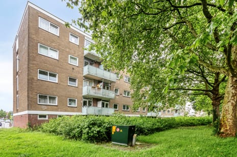 Mascagnistraat thumbnail