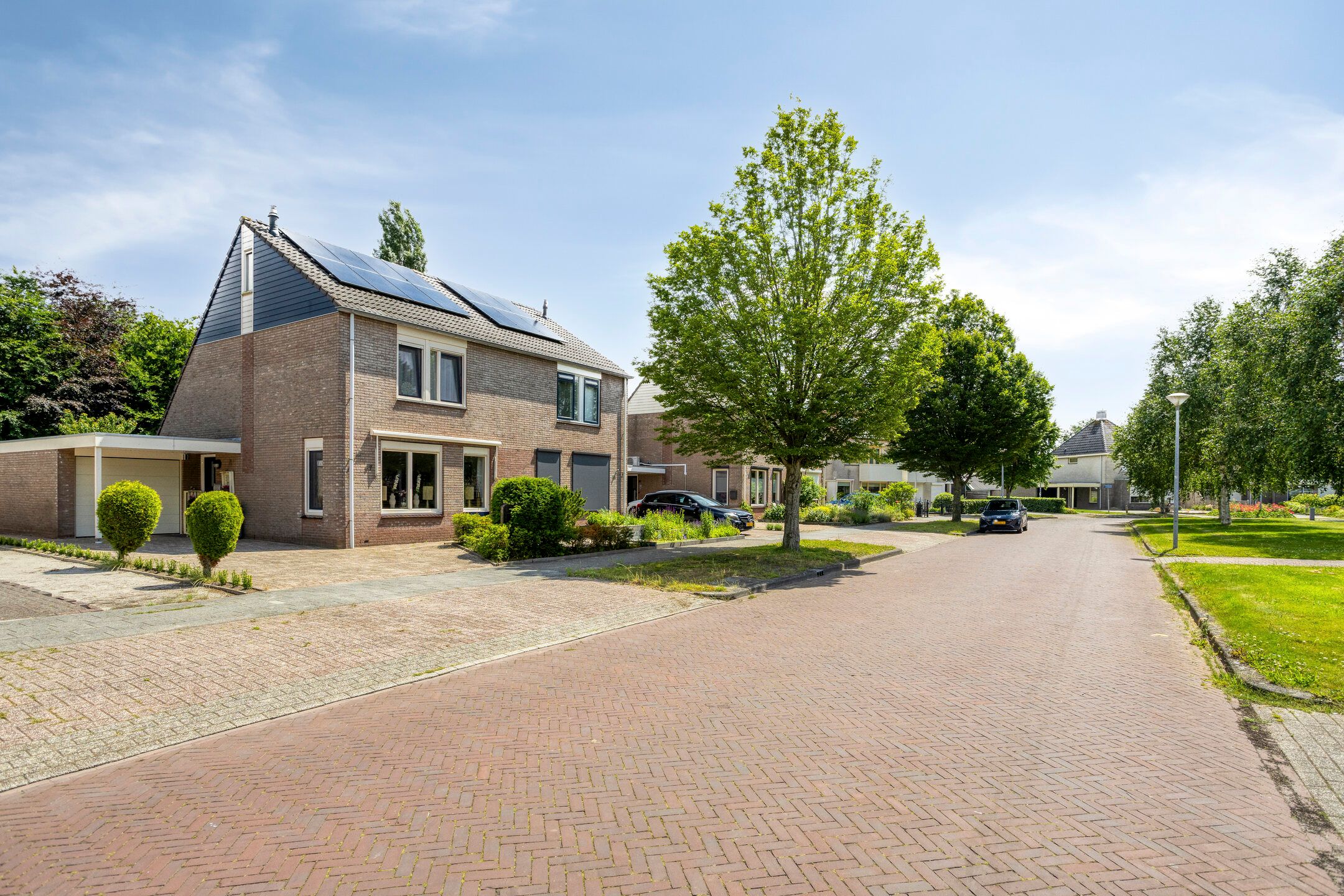 Dotterbloem 37