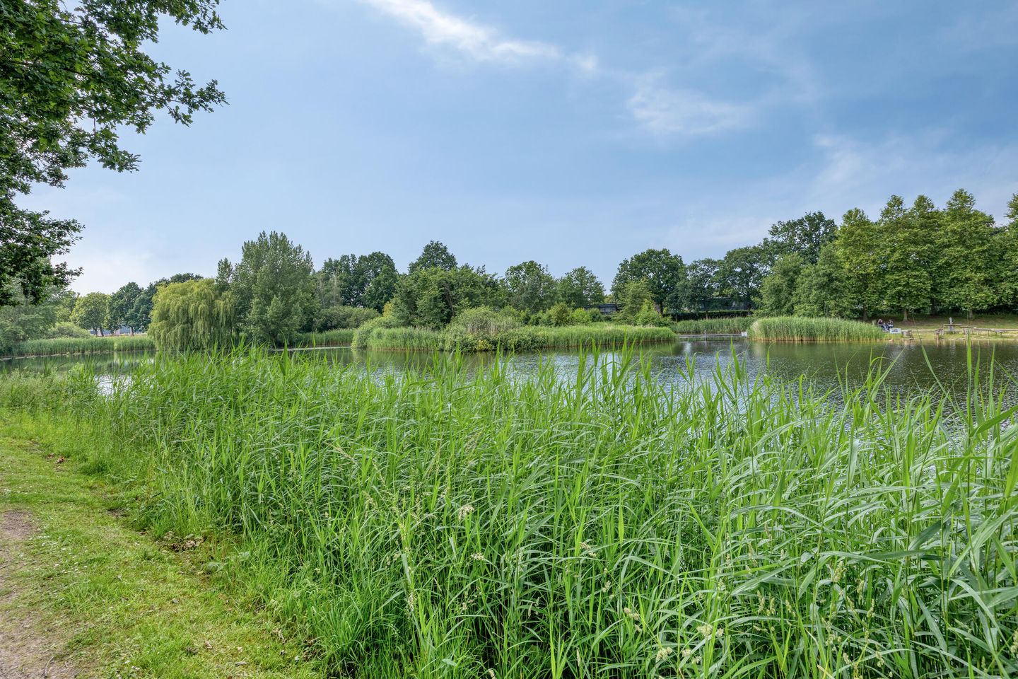Photo 29 of Forel 38