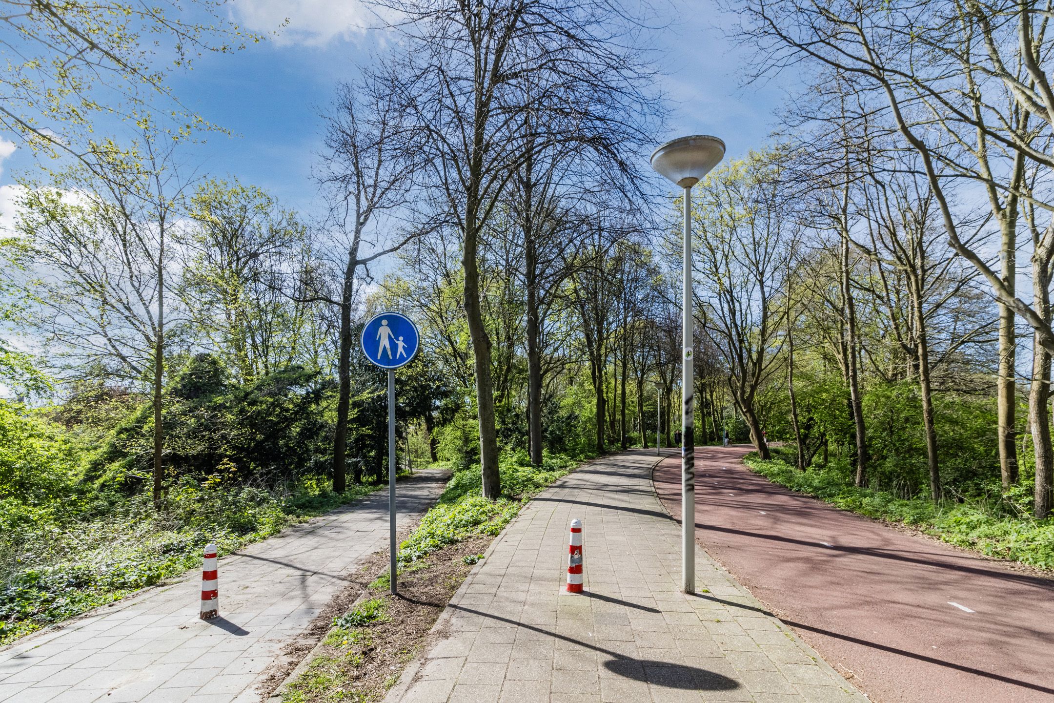Photo 48 of Forellendaal 236