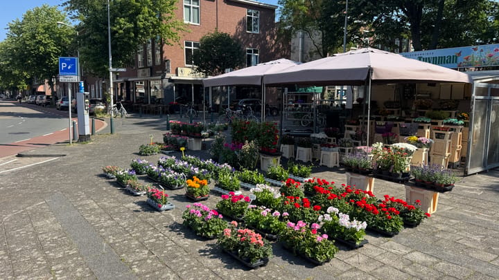 Kamperfoelieplein 10-D