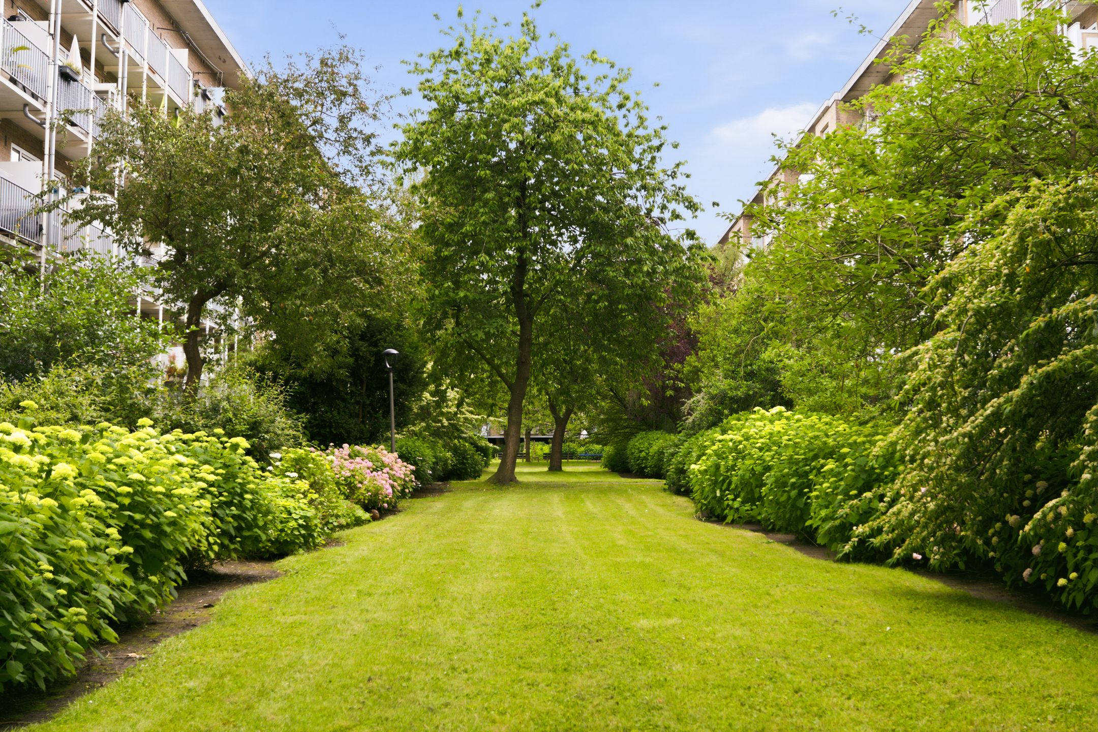 Photo 30 of Adriaan van Bergenstraat 7-2