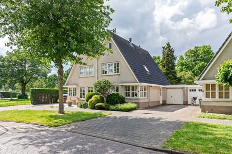 Dijkmanzoet thumbnail