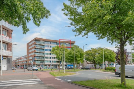 Steijnlaan thumbnail