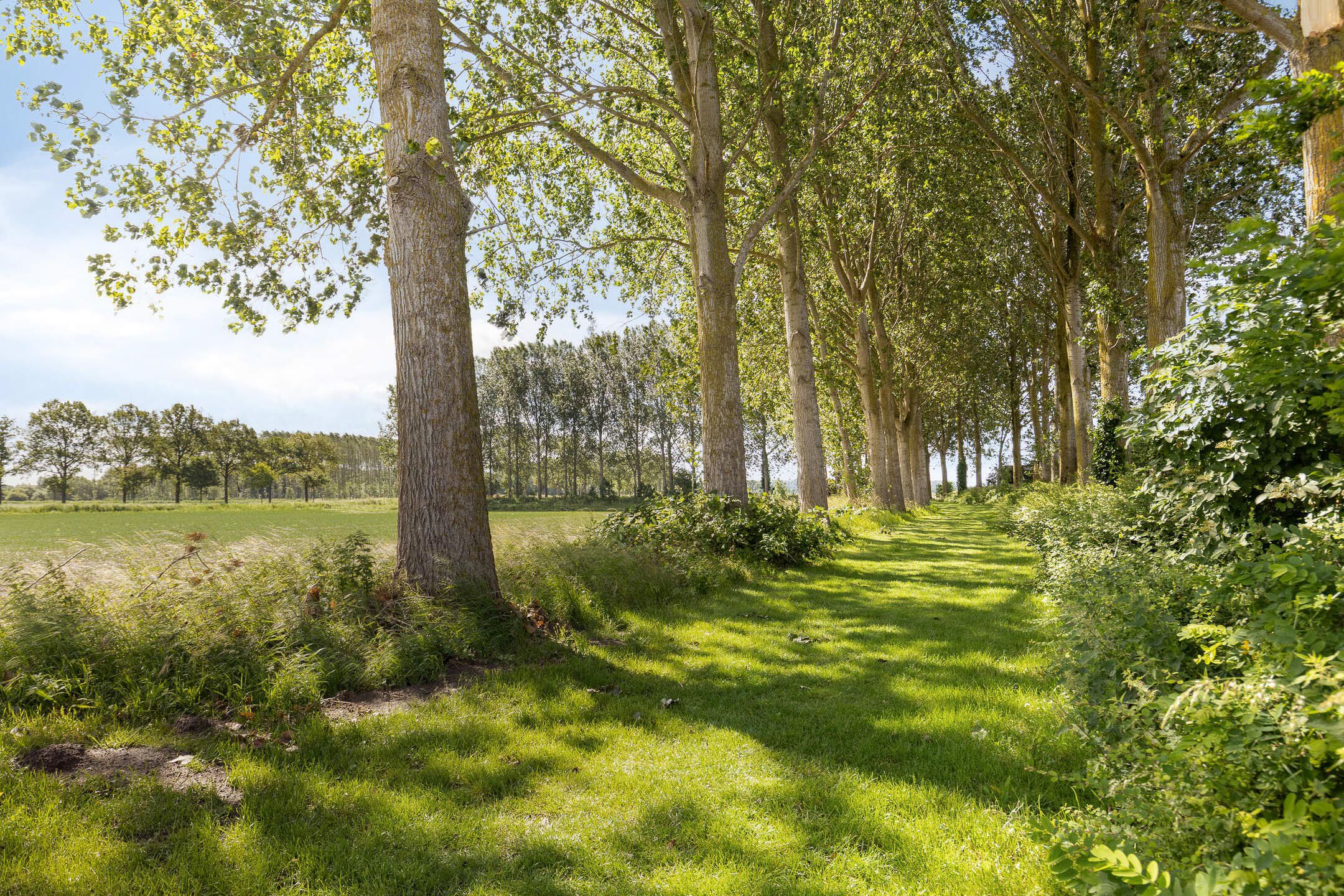 Photo 30 of Hoofdweg Noord 1