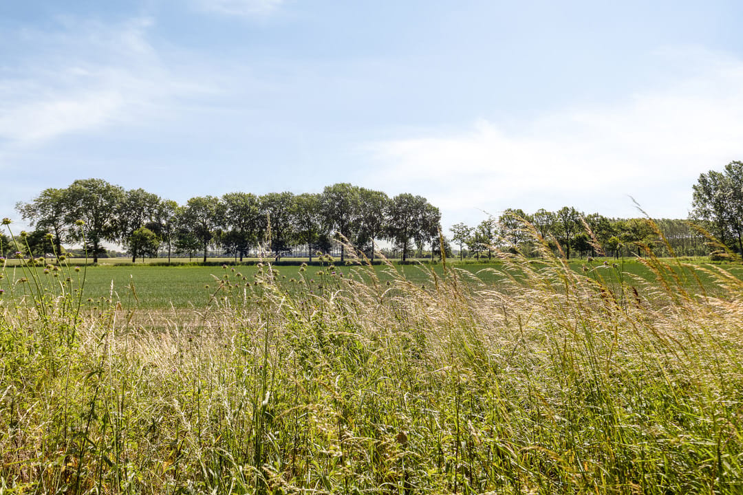 Photo 31 of Hoofdweg Noord 1