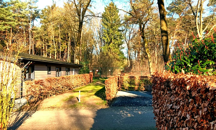 Foto 4 van Barteweg 15