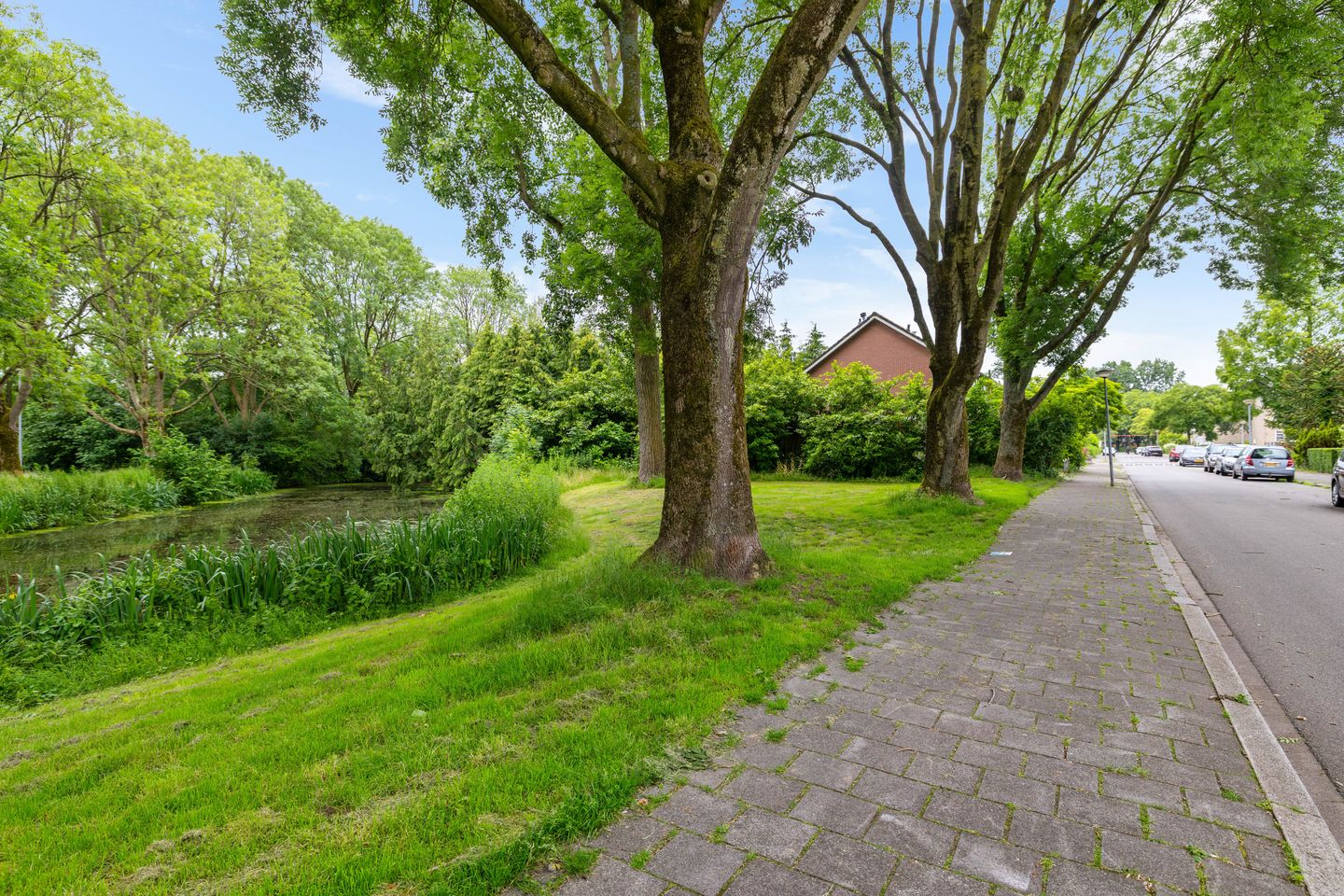 Foto 44 van Zilverlaan 14