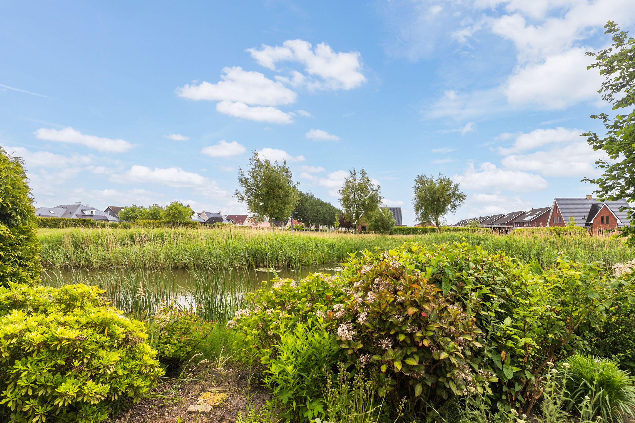 Foto 42 van De Woudhorne 83-A