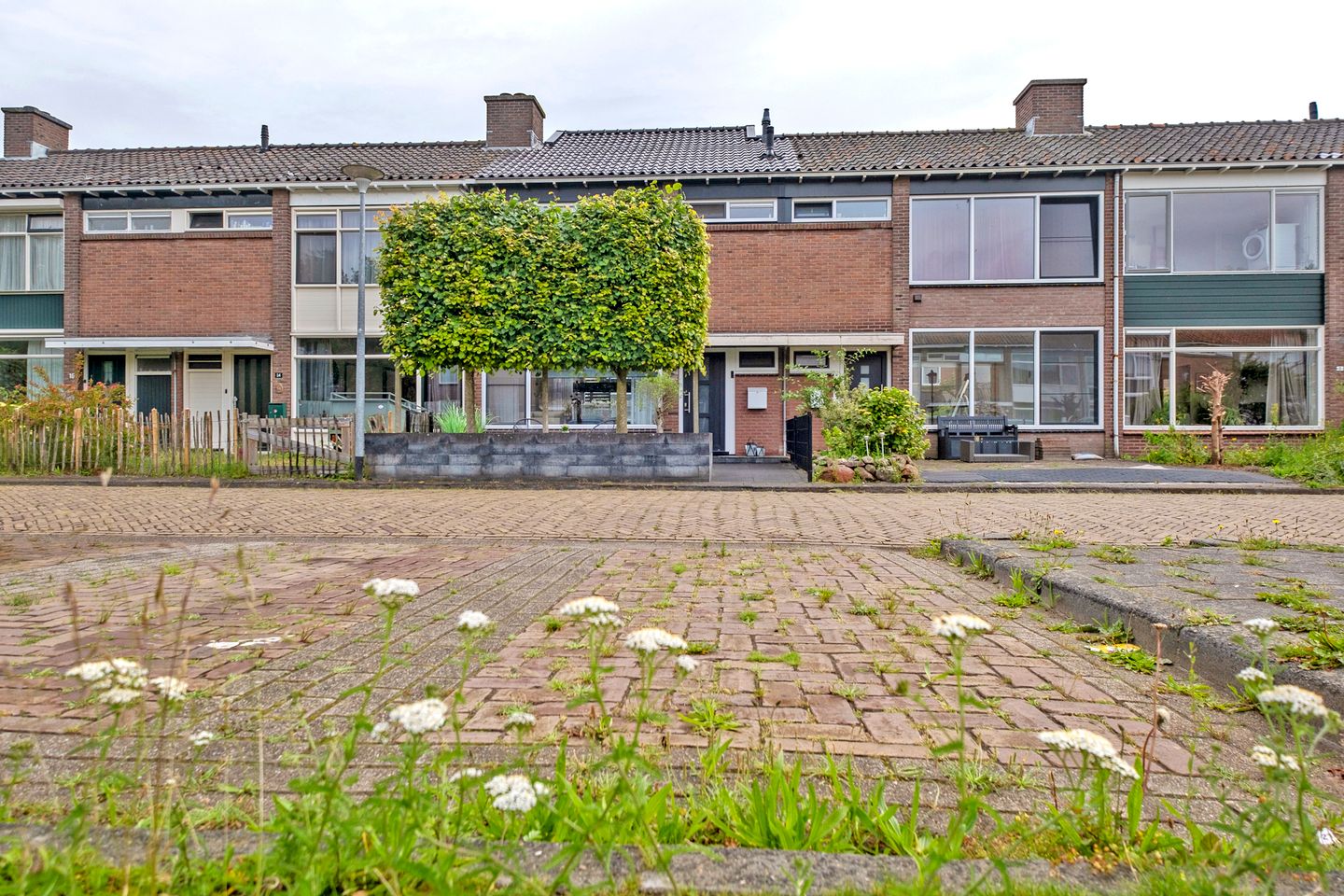 Foto 55 van Riete 12