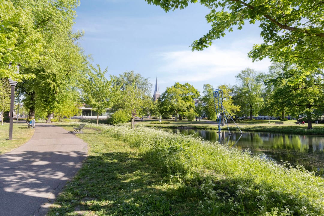 Photo 52 of Boulevard Heuvelink 36
