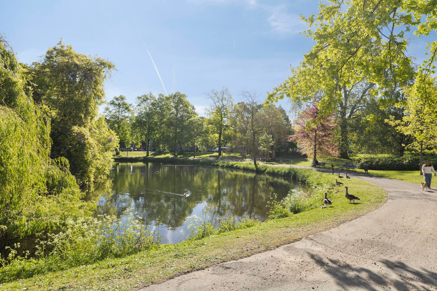 Photo 50 of Boulevard Heuvelink 36