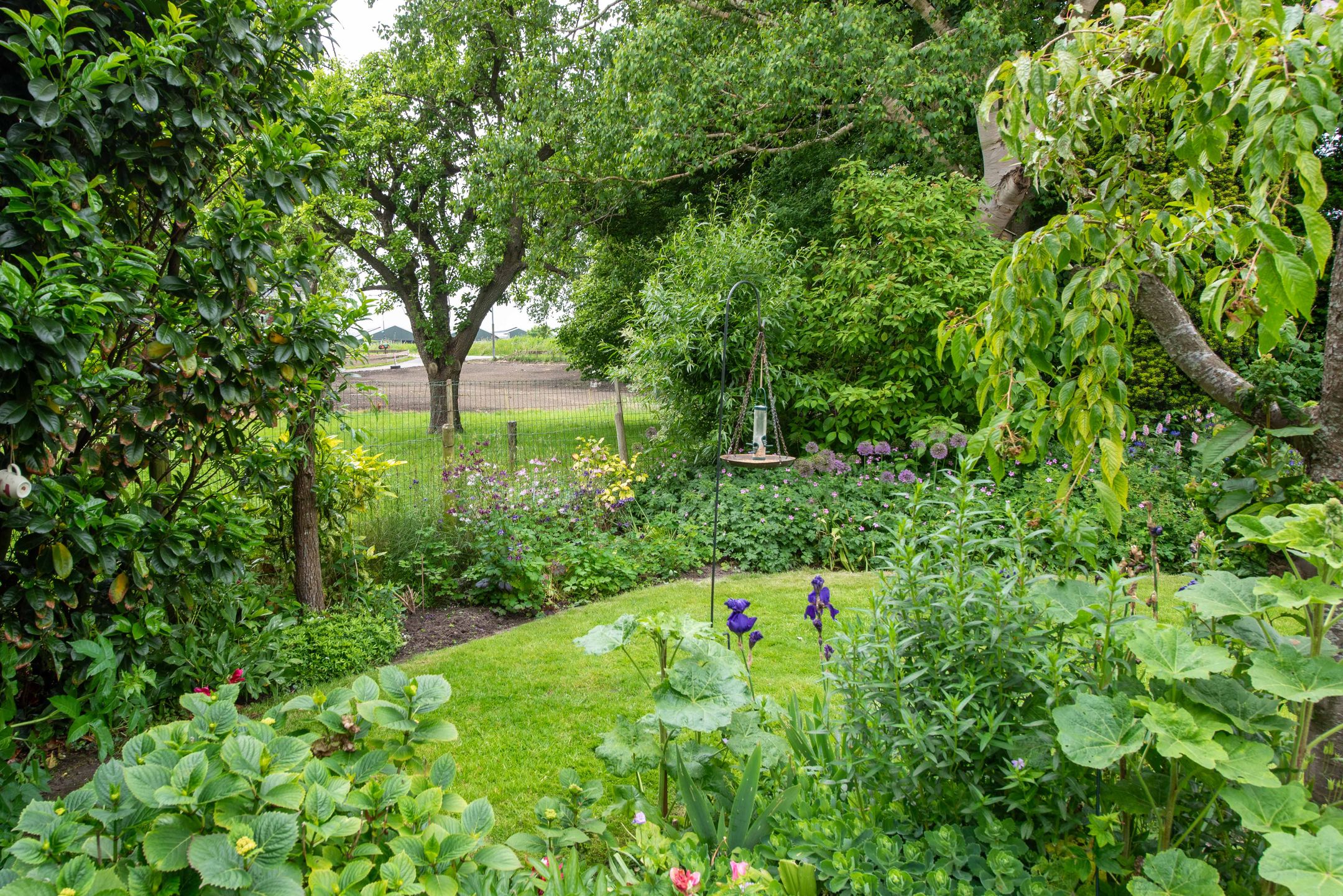 Photo 54 of Berkmeerdijk 23