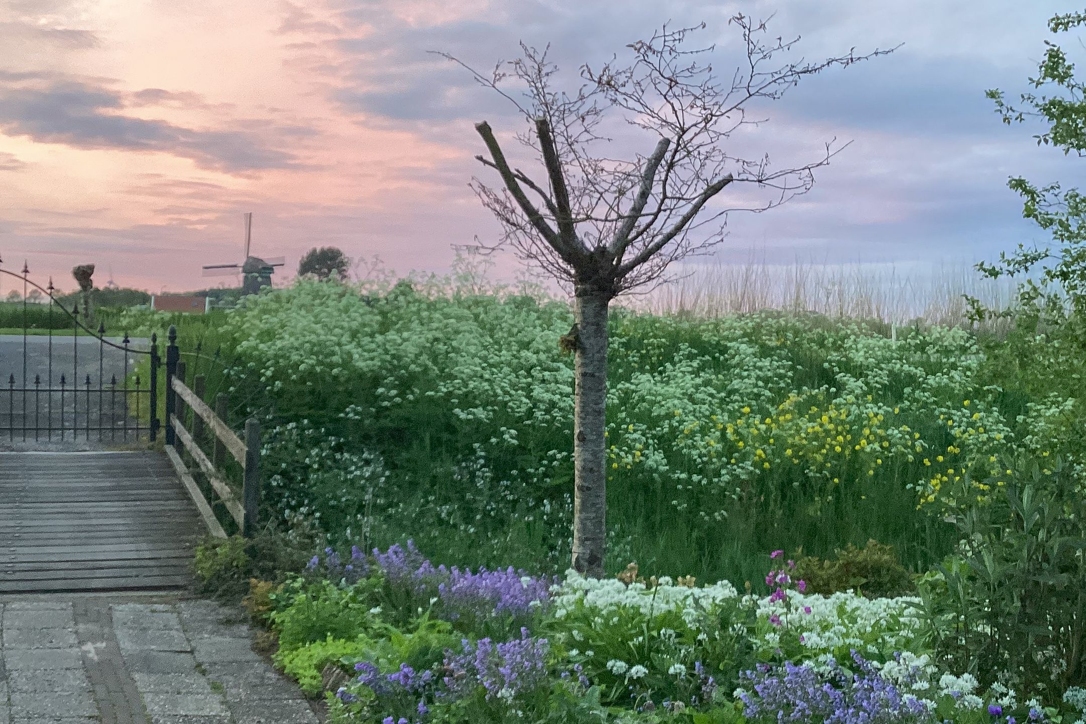 Photo 66 of Berkmeerdijk 23