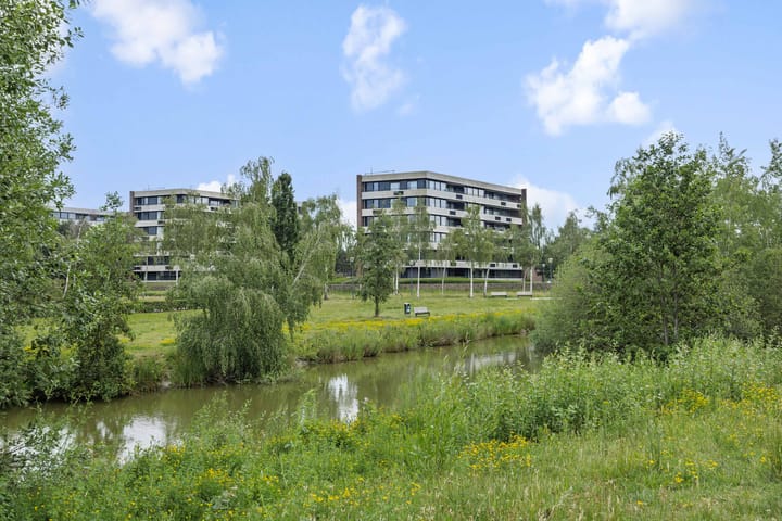 Foto 4 van Zandbloem 11